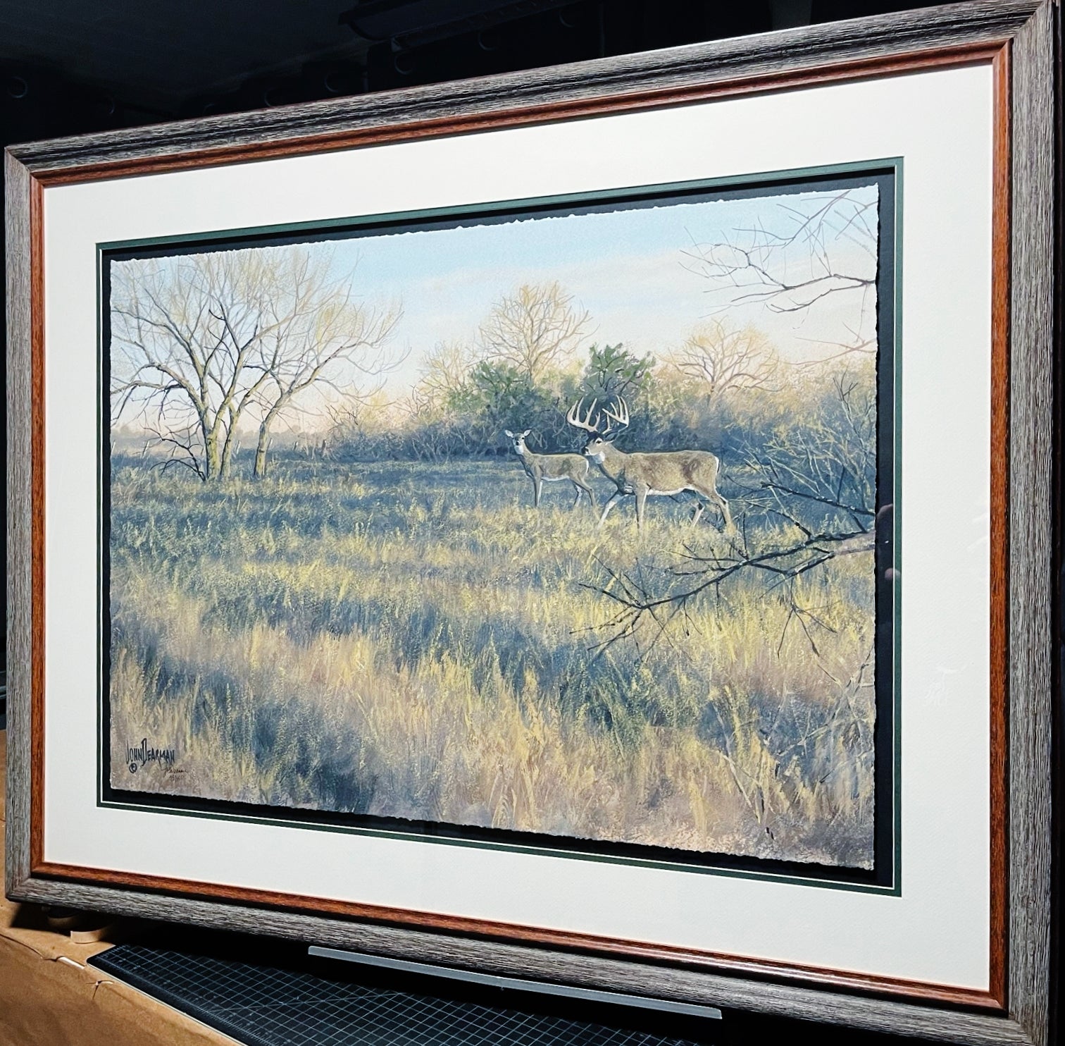 John Dearman Whitetail 2020 GiClee Full Sheet - The Coastal Conservation Association CCA - Brand New Super Custom Sporting Frame