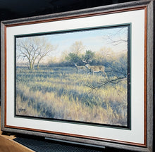 Load image into Gallery viewer, John Dearman Whitetail 2020 GiClee Full Sheet - The Coastal Conservation Association CCA - Brand New Super Custom Sporting Frame