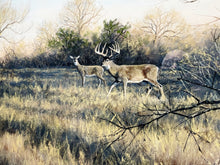 Load image into Gallery viewer, John Dearman Whitetail 2020 GiClee Full Sheet - The Coastal Conservation Association CCA - Brand New Super Custom Sporting Frame
