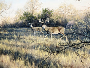 John Dearman Whitetail 2020 GiClee Full Sheet - The Coastal Conservation Association CCA - Brand New Custom Sporting Frame