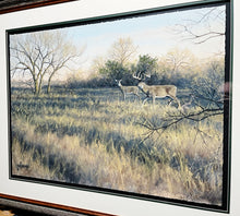 Load image into Gallery viewer, John Dearman Whitetail 2020 GiClee Full Sheet - The Coastal Conservation Association CCA - Brand New Super Custom Sporting Frame