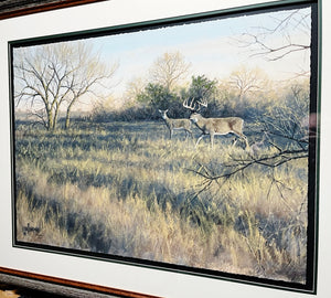 John Dearman Whitetail 2020 GiClee Full Sheet - The Coastal Conservation Association CCA - Brand New Custom Sporting Frame