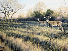 Load image into Gallery viewer, John Dearman Whitetail 2020 GiClee Full Sheet - The Coastal Conservation Association CCA - Brand New Super Custom Sporting Frame