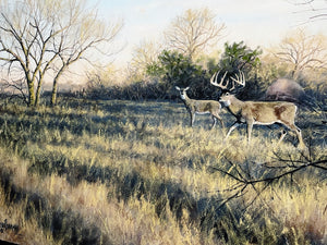 John Dearman Whitetail 2020 GiClee Full Sheet - The Coastal Conservation Association CCA - Brand New Custom Sporting Frame