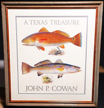 Load image into Gallery viewer, John P. Cowan A Texas Treasure Poster Art Classic Mint - Redfish And Speckled Trout - Brand New Super Custom Sporting Frame