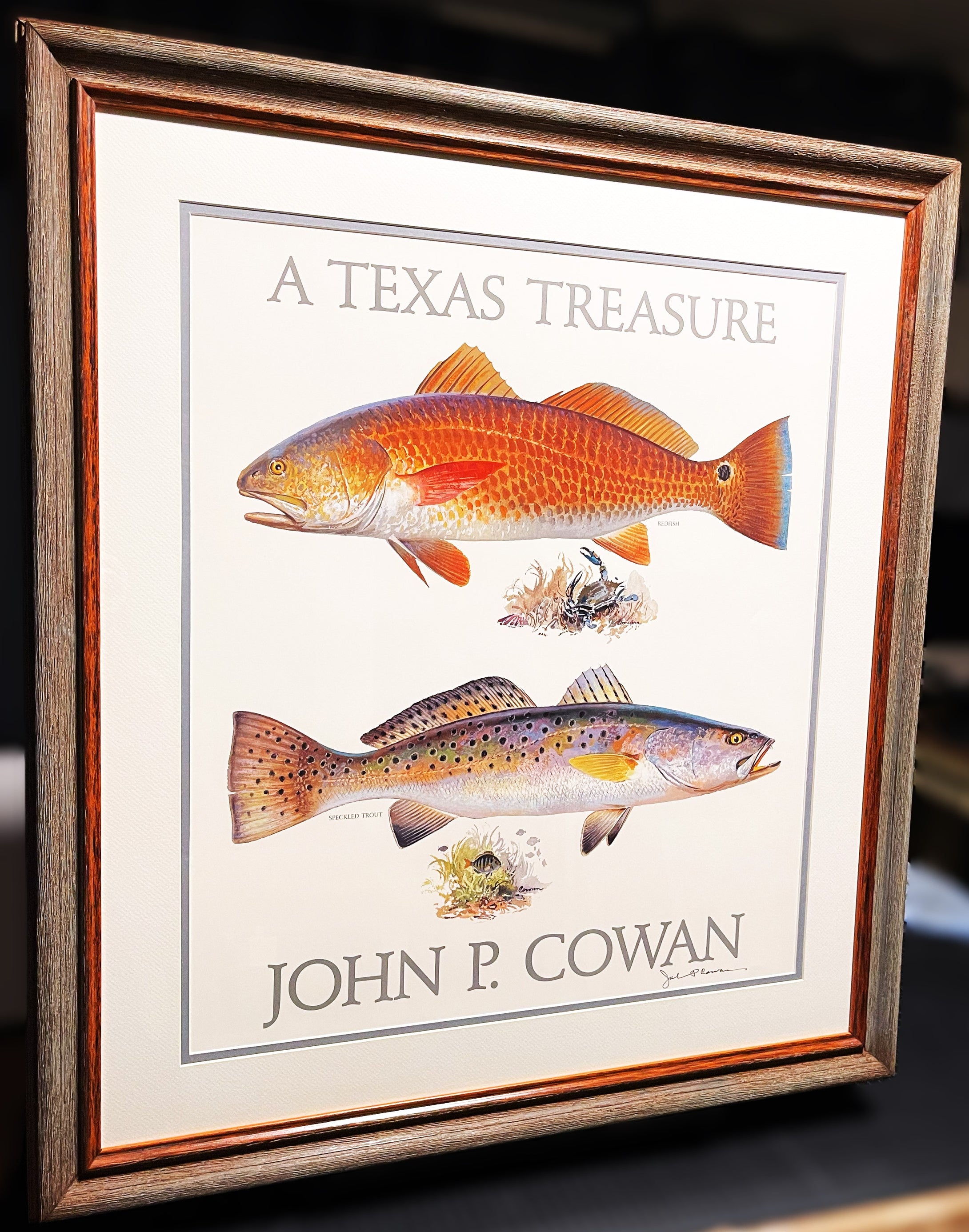 John P. Cowan A Texas Treasure Poster Art Classic Mint - Redfish And Speckled Trout - Brand New Super Custom Sporting Frame