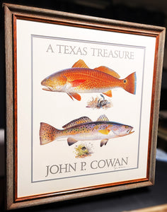 John P. Cowan A Texas Treasure Poster Art Classic Mint - Redfish And Speckled Trout - Brand New Super Custom Sporting Frame