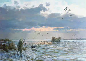 John P. Cowan Coming Home Lithograph - Pintail Duck Hunting - Brand New Super Custom Sporting Frame