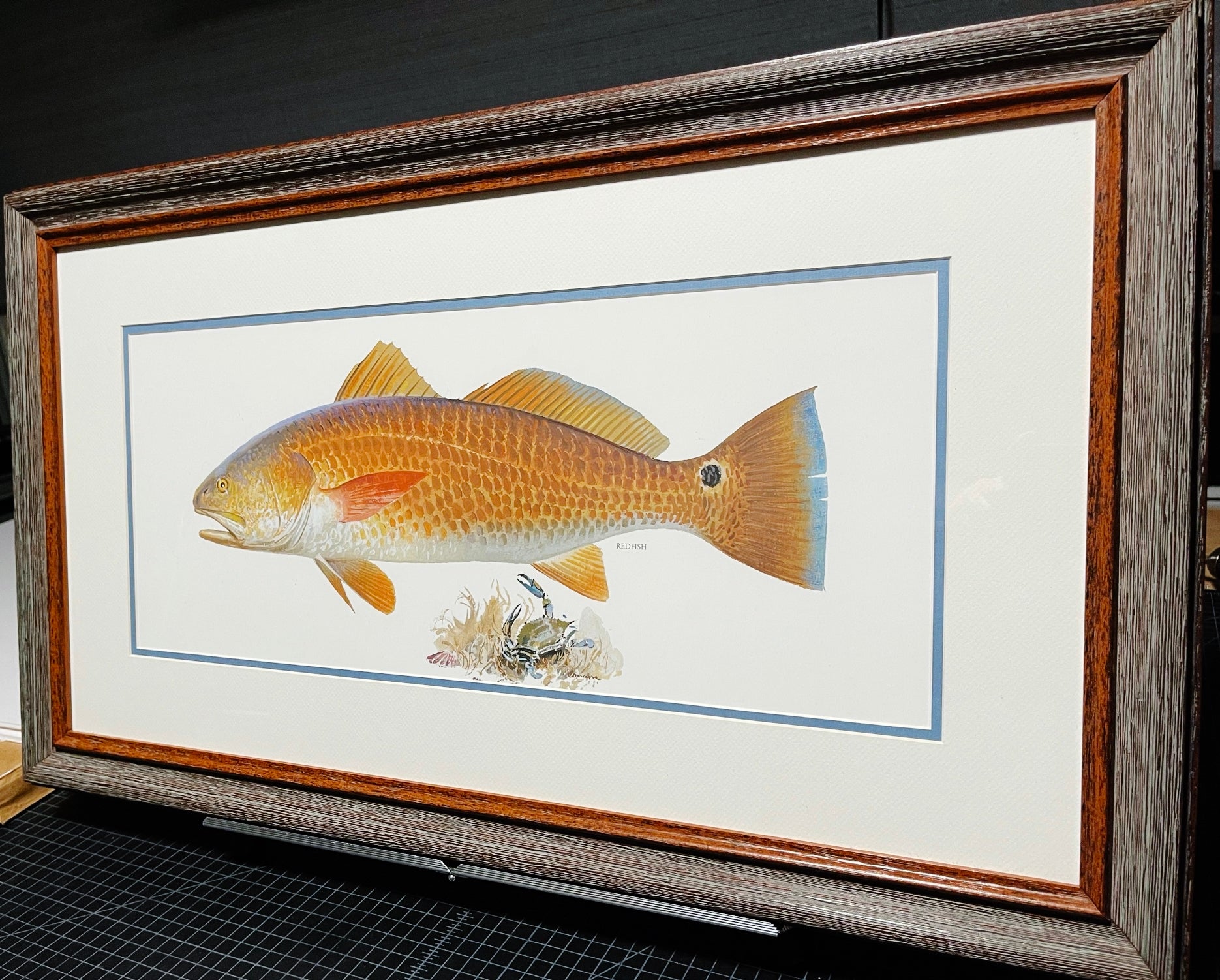 John P. Cowan A Texas Treasure Poster Art Classic Mint - Redfish - Brand New Super Custom Sporting Frame