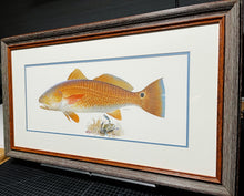 Load image into Gallery viewer, John P. Cowan A Texas Treasure Poster Art Classic Mint - Redfish - Brand New Super Custom Sporting Frame