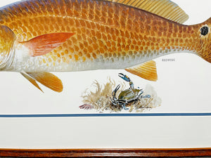 John P. Cowan A Texas Treasure Poster Art Classic Mint - Redfish - Brand New Super Custom Sporting Frame