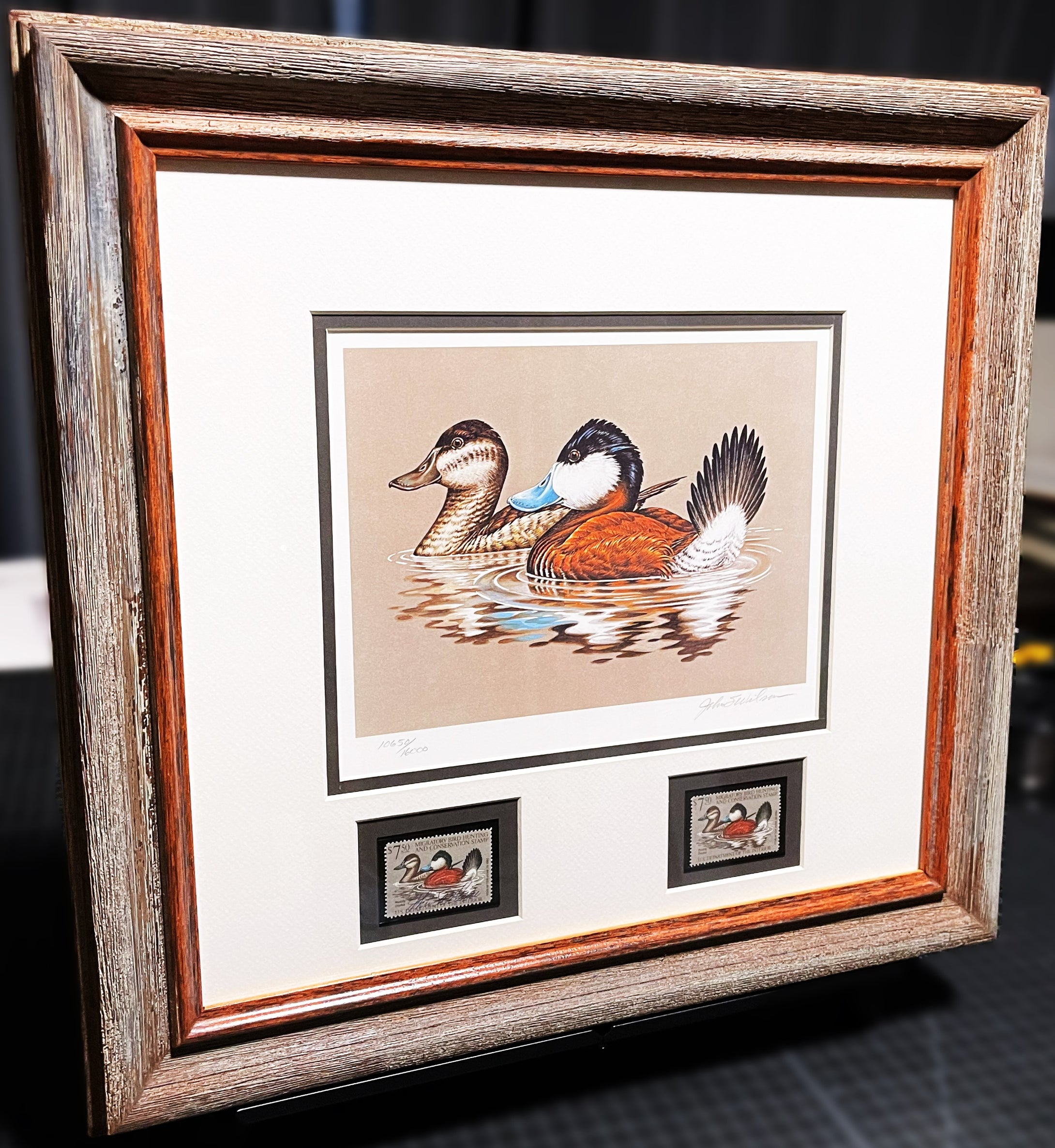 John S. Wilson 1981 Federal Migratory Duck Stamp Print With Double Stamps - Brand New Super Custom Sporting Frame