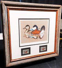 Load image into Gallery viewer, John S. Wilson 1981 Federal Migratory Duck Stamp Print With Double Stamps - Brand New Super Custom Sporting Frame