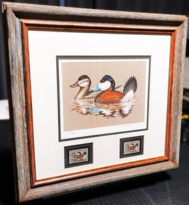 John S. Wilson 1981 Federal Migratory Duck Stamp Print With Double Stamps - Brand New Super Custom Sporting Frame