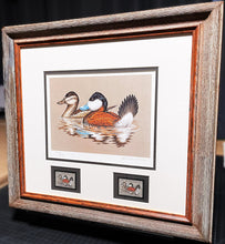 Load image into Gallery viewer, John S. Wilson 1981 Federal Migratory Duck Stamp Print With Double Stamps - Brand New Super Custom Sporting Frame