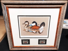 Load image into Gallery viewer, John S. Wilson 1981 Federal Migratory Duck Stamp Print With Double Stamps - Brand New Super Custom Sporting Frame