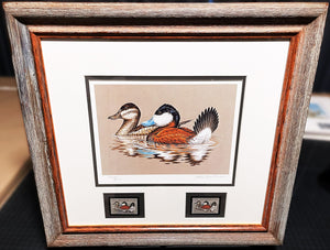 John S. Wilson 1981 Federal Migratory Duck Stamp Print With Double Stamps - Brand New Super Custom Sporting Frame