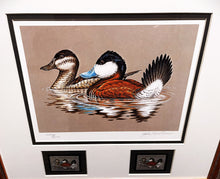 Load image into Gallery viewer, John S. Wilson 1981 Federal Migratory Duck Stamp Print With Double Stamps - Brand New Super Custom Sporting Frame