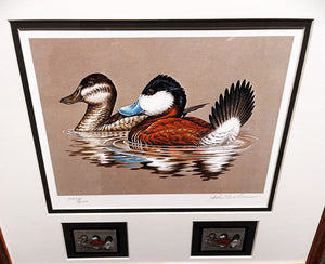 John S. Wilson 1981 Federal Migratory Duck Stamp Print With Double Stamps - Brand New Super Custom Sporting Frame
