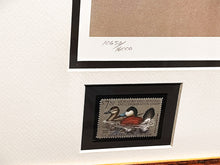 Load image into Gallery viewer, John S. Wilson 1981 Federal Migratory Duck Stamp Print With Double Stamps - Brand New Super Custom Sporting Frame
