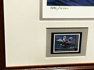 Joshua Spies 2009 Federal Duck Stamp Print With Double Stamps - Brand New Custom Sporting  Frame