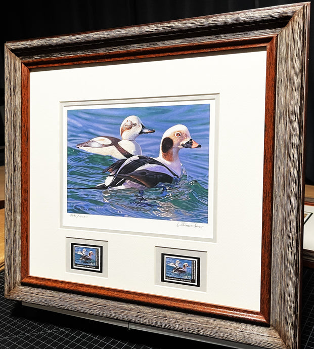 Joshua Spies 2009 Federal Duck Stamp Print With Double Stamps - Brand New Super Custom Sporting  Frame