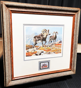 Ken Carlson 1982 North American Wild Sheep Foundation With Stamp - Brand New Custom Sporting Frame