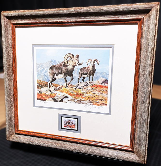Ken Carlson 1982 North American Wild Sheep Foundation With Stamp - Brand New Super Custom Sporting Frame