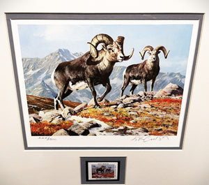 Ken Carlson 1982 North American Wild Sheep Foundation With Stamp - Brand New Super Custom Sporting Frame