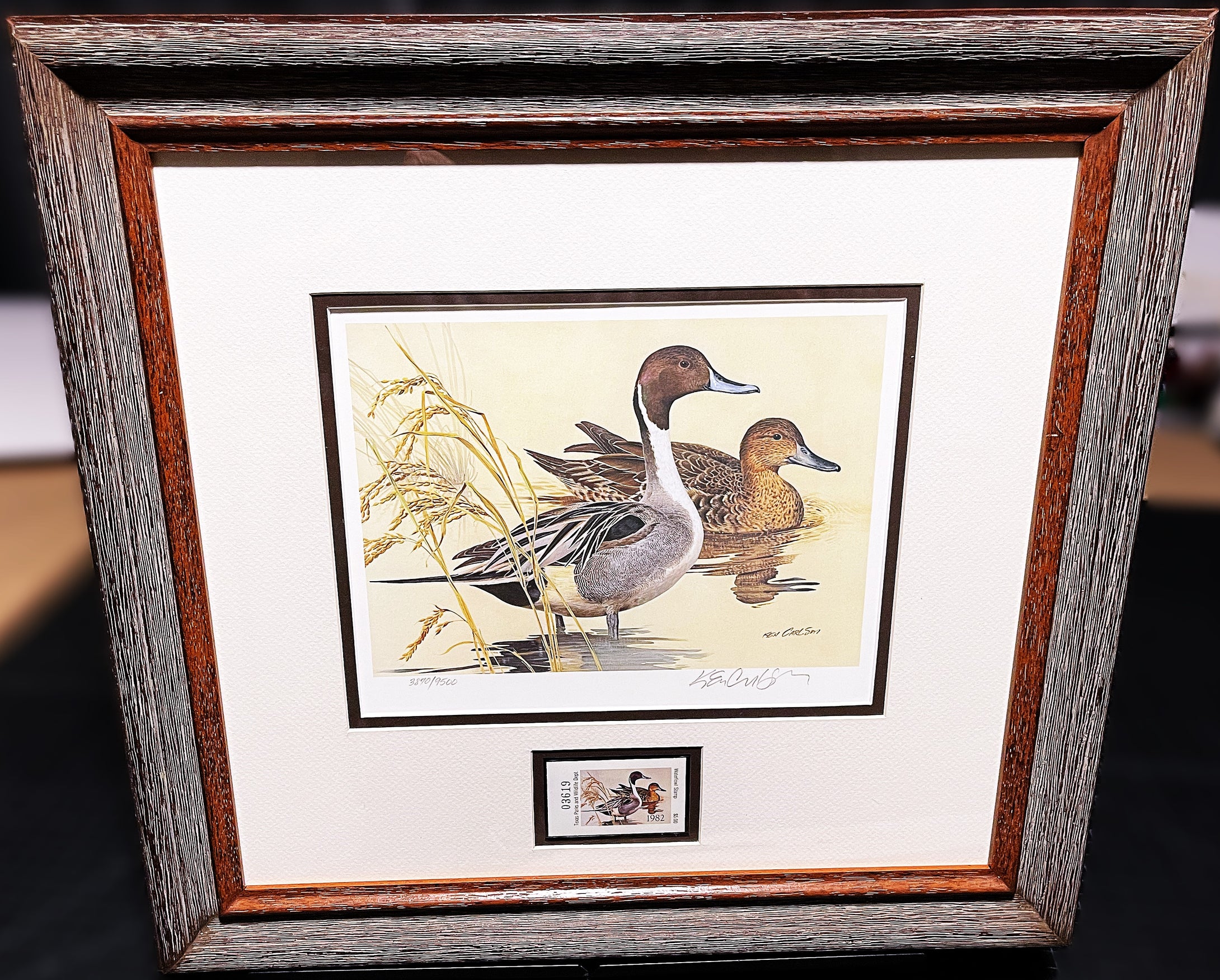 Ken Carlson 1982 Texas Waterfowl Duck Stamp Print With Stamp - Brand New Super Custom Sporting Frame  ***  SPRING SPECIAL  ***