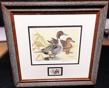 Load image into Gallery viewer, Ken Carlson 1982 Texas Waterfowl Duck Stamp Print With Stamp - Brand New Super Custom Sporting Frame  ***  SPRING SPECIAL  ***