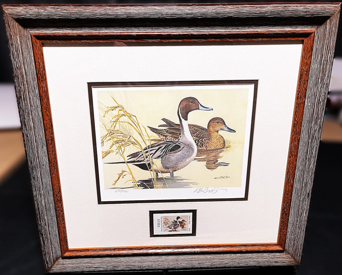 Ken Carlson 1982 Texas Waterfowl Duck Stamp Print With Stamp - Brand New Super Custom Sporting Frame  ***  SPRING SPECIAL  ***