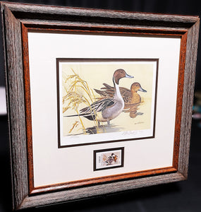 Ken Carlson 1982 Texas Waterfowl Duck Stamp Print With Stamp - Brand New Super Custom Sporting Frame  ***  SPRING SPECIAL  ***