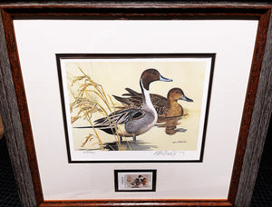Ken Carlson 1982 Texas Waterfowl Duck Stamp Print With Stamp - Brand New Super Custom Sporting Frame  ***  SPRING SPECIAL  ***