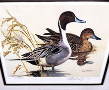 Load image into Gallery viewer, Ken Carlson 1982 Texas Waterfowl Duck Stamp Print With Stamp - Brand New Super Custom Sporting Frame  ***  SPRING SPECIAL  ***