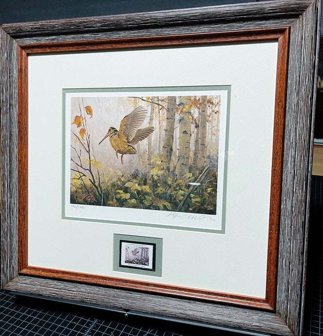 Ken Carlson 1985 The Ruffed Grouse Society Conservation With Stamp - Brand New Super Custom Sporting Frame