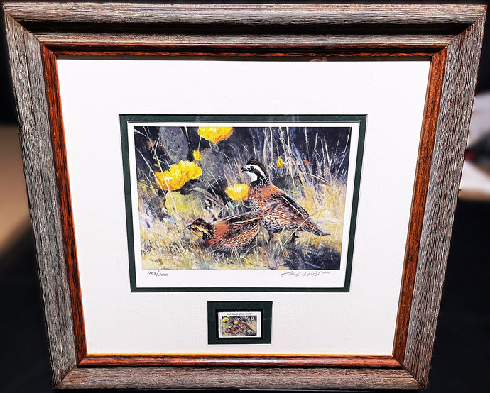 Ken Carlson 2005 Texas Quail Stamp Print With Stamp - Brand New Super Custom Sporting Frame