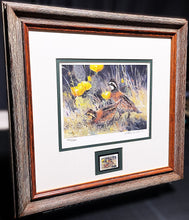 Load image into Gallery viewer, Ken Carlson 2005 Texas Quail Stamp Print With Stamp - Brand New Super Custom Sporting Frame