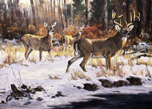 Load image into Gallery viewer, Ken Carlson A Faint Sound GiClee Full Sheet - Brand New Super Custom Sporting Frame