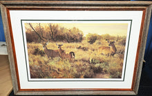 Load image into Gallery viewer, Ken Carlson A New Day Lithograph Artist Proof 1983 - Brand New Custom Sporting Frame