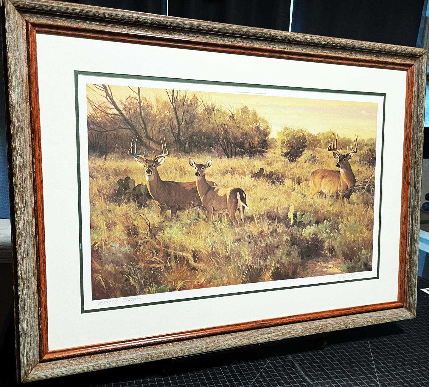 Ken Carlson - A New Day - Lithograph Artist Proof 1983 - Brand New Custom Sporting Frame