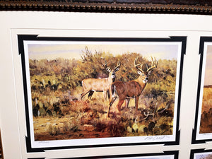 Ken Carlson A Texas Wildlife Portfolio 6 GiClee's - Super Custom Brand New Sporting Frame