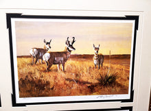 Load image into Gallery viewer, Ken Carlson A Texas Wildlife Portfolio 6 GiClee&#39;s -Brand New Super Custom Sporting Frame
