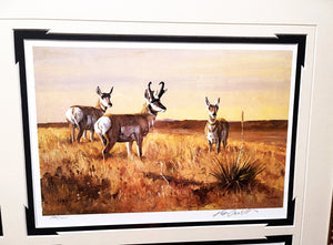 Ken Carlson A Texas Wildlife Portfolio 6 GiClee's - Super Custom Brand New Sporting Frame