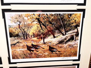 Ken Carlson A Texas Wildlife Portfolio 6 GiClee's - Super Custom Brand New Sporting Frame