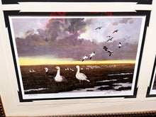 Load image into Gallery viewer, Ken Carlson A Texas Wildlife Portfolio 6 GiClee&#39;s -Brand New Super Custom Sporting Frame