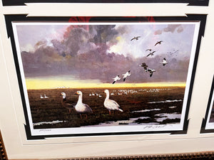 Ken Carlson A Texas Wildlife Portfolio 6 GiClee's -Brand New Super Custom Sporting Frame