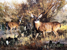 Load image into Gallery viewer, Ken Carlson Advancing Shadows GiClee Full Sheet - Brand New Super Custom Sporting Frame