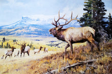 Load image into Gallery viewer, Ken Carlson Challenge At Banded Peaks GiClee Full Sheet - Brand New Custom Sporting Frame