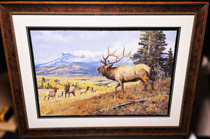 Ken Carlson Challenge At Banded Peaks GiClee Full Sheet - Brand New Super Custom Sporting Frame